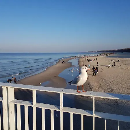 Lux Blizej Morza * Kołobrzeg